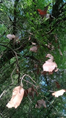 P 20170903 154159 vHDR Auto