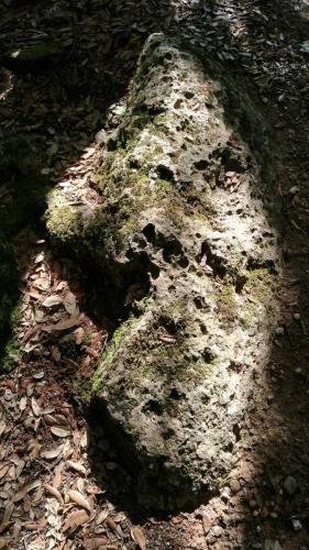 P 20170903 154255 vHDR Auto