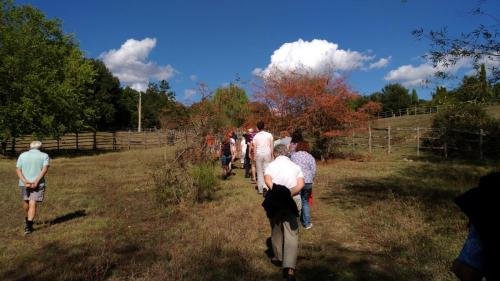 P 20170903 161251 vHDR Auto