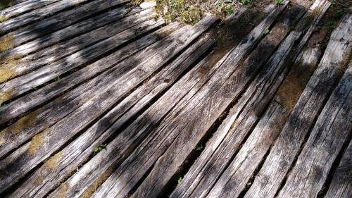 P 20170904 120556 vHDR Auto