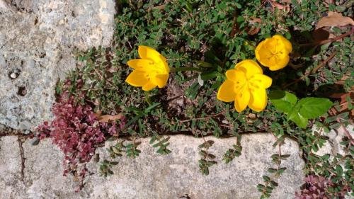 P 20170904 122346 vHDR Auto