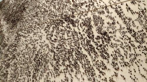 P 20170906 163304 vHDR Auto