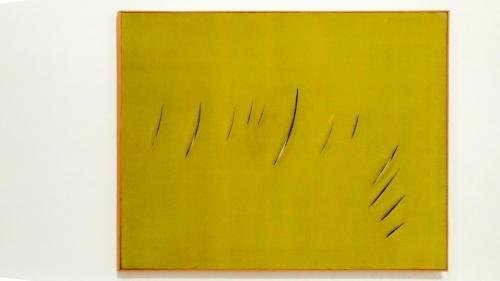 P 20170906 163746 vHDR Auto