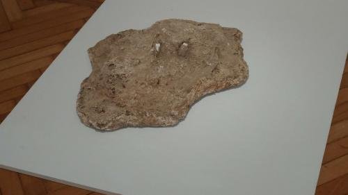 P 20170906 164022 vHDR Auto