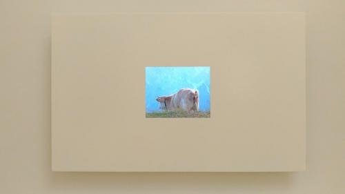 P 20170906 164220 vHDR Auto