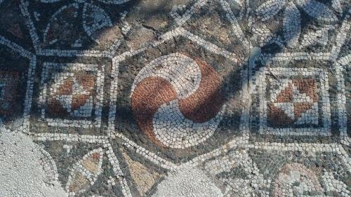 P 20191124 114803 vHDR Auto