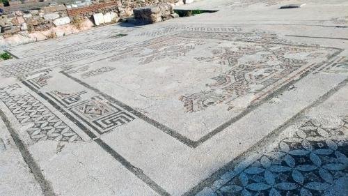 P 20191124 115640 vHDR Auto