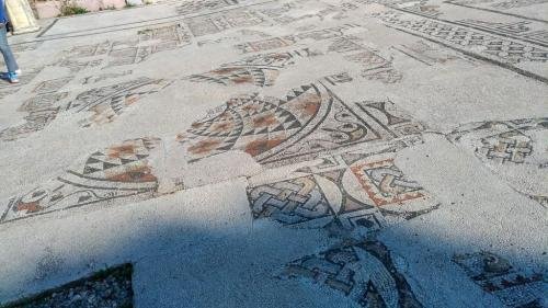 P 20191124 115713 vHDR Auto