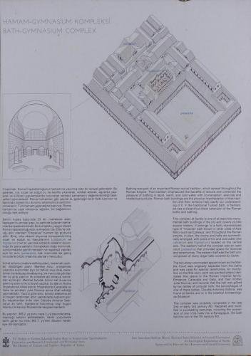 P 20191124 120425 vHDR Auto 1