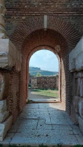 P 20191124 121145 vHDR Auto