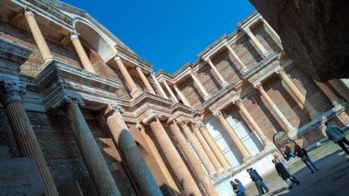 P 20191124 121233 vHDR Auto