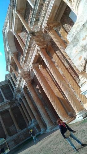 P 20191124 121552 vHDR Auto