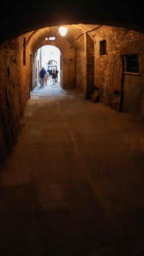 P 20170905 110117 PN