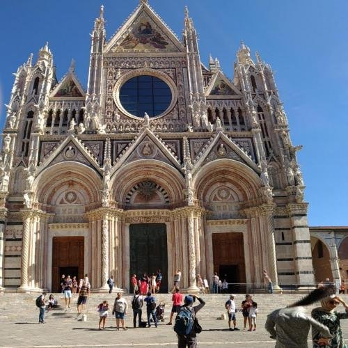 P 20170905 111348 PN