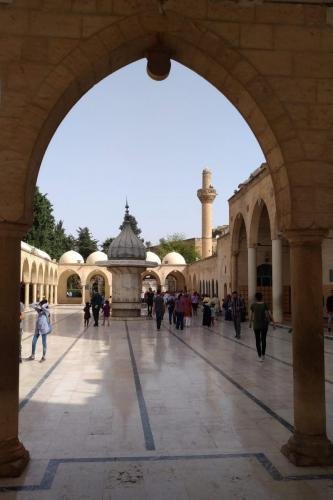 P 20181014 130924 vHDR On