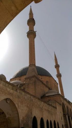 P 20181014 131143 vHDR On