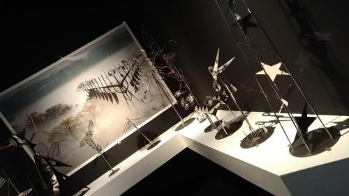 P 20180906 173430 LL