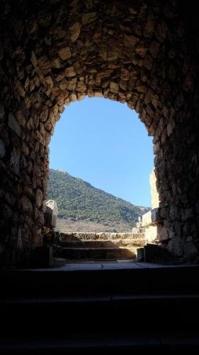 P 20200202 124353 vHDR Auto