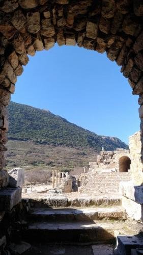 P 20200202 124421 vHDR Auto