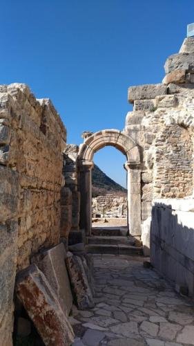 P 20200202 124823 vHDR Auto (1)