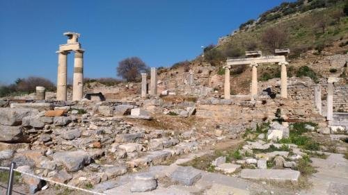 P 20200202 124936 vHDR Auto (1)