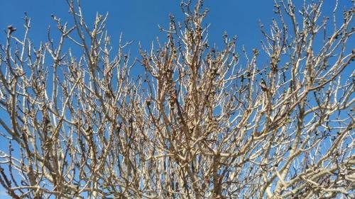 P 20200202 130116 vHDR Auto (1)