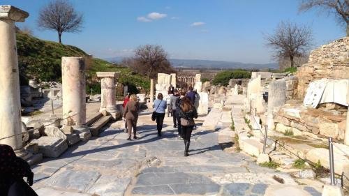 P 20200202 130448 vHDR Auto (1)