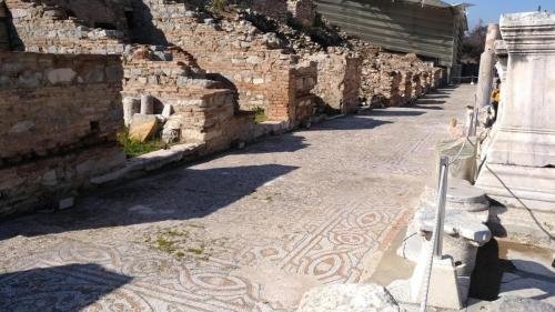 P 20200202 131454 vHDR Auto (1)