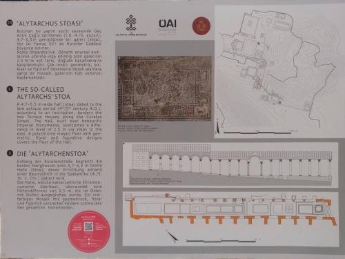 P 20200202 131700 vHDR Auto (1)