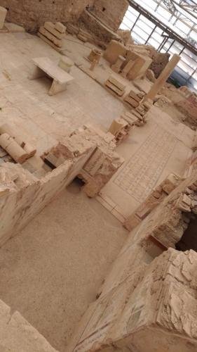 P 20200202 134419 vHDR Auto (1)