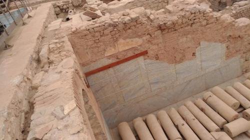 P 20200202 134448 vHDR Auto (1)