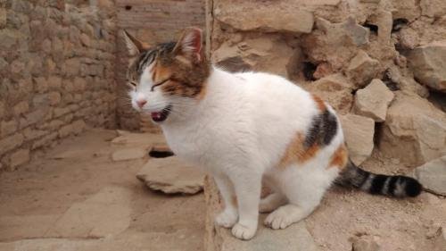 P 20200202 134522 vHDR Auto