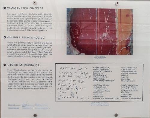 P 20200202 134638 vHDR Auto (1)