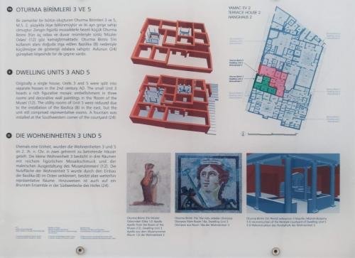 P 20200202 134924 vHDR Auto (1)