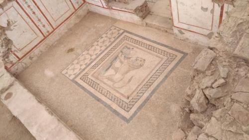 P 20200202 135059 vHDR Auto (1)