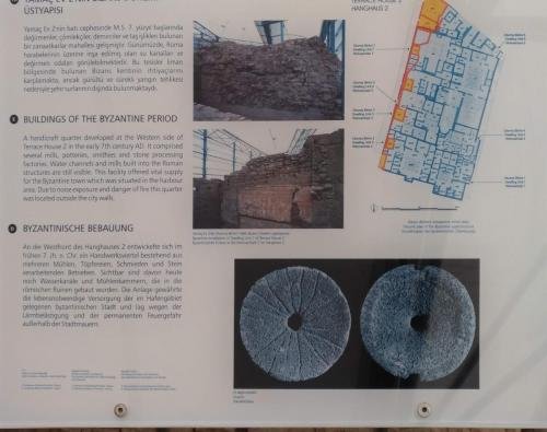 P 20200202 135137 vHDR Auto (1)