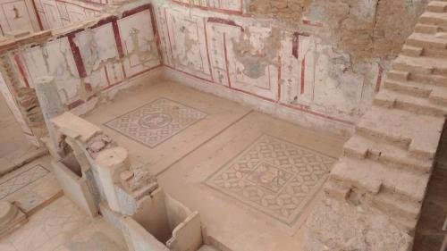 P 20200202 135219 vHDR Auto (1)