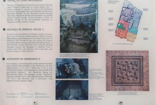 P 20200202 135256 vHDR Auto (1)