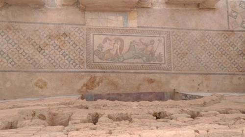 P 20200202 135530 vHDR Auto (1)