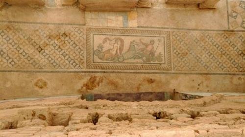 P 20200202 135530 vHDR Auto (1)~2