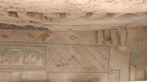 P 20200202 135542 vHDR Auto (1)