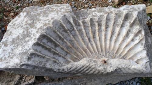 P 20200202 143640 vHDR Auto (1)